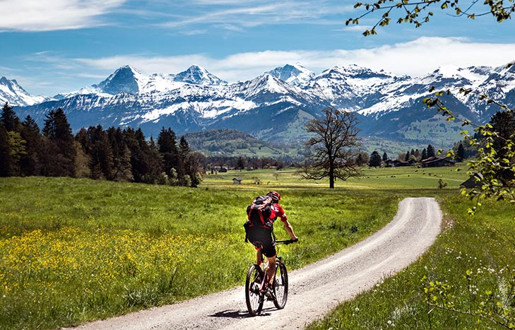 Radfahrer fährt auf traumhaftem Radweg