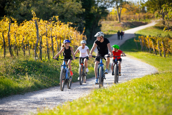 Eine Familie macht eine Fahrradtour auf E-Bikes